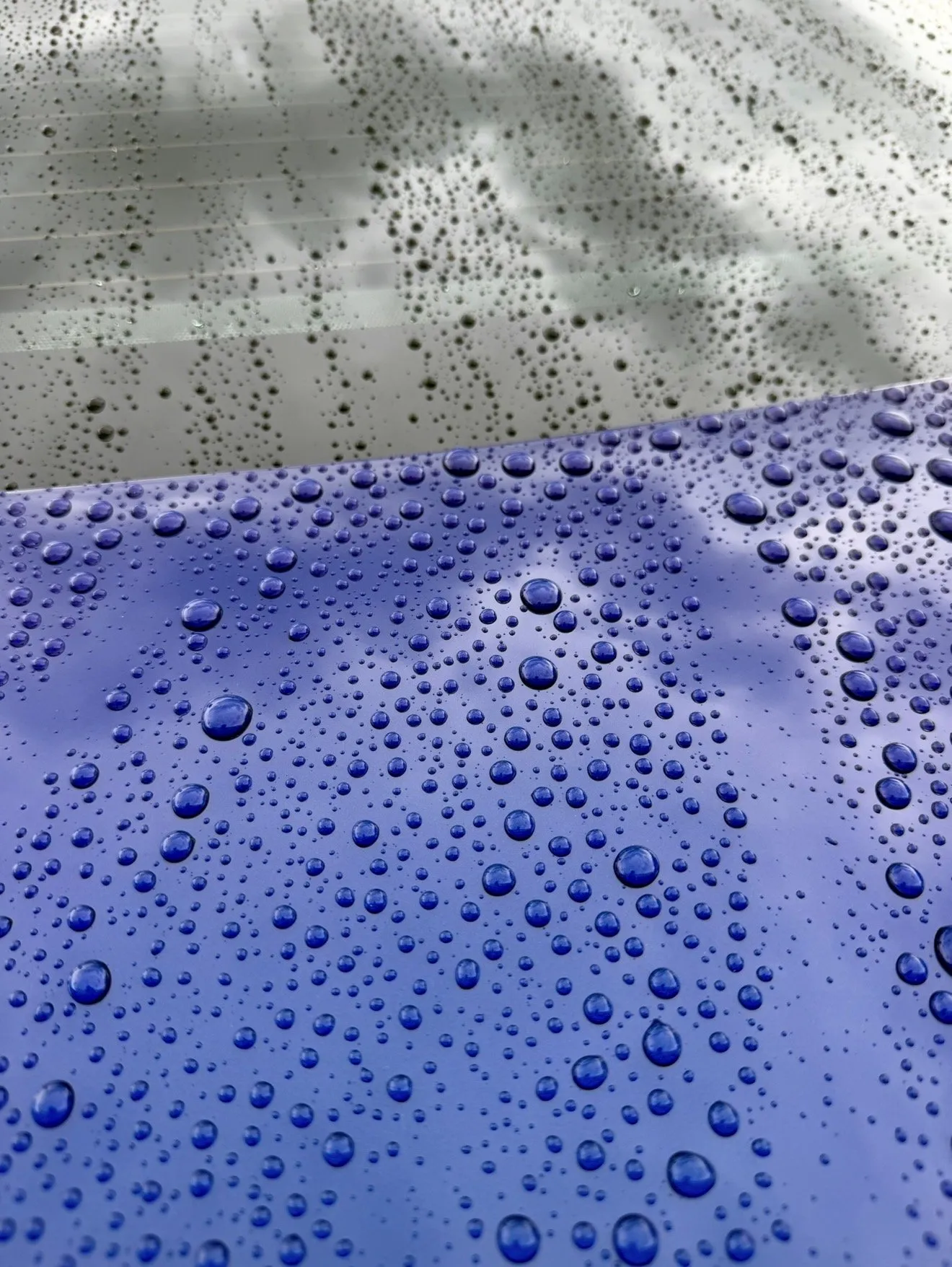 Water beading on a blue painted panel
